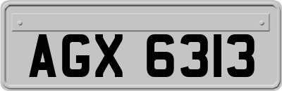 AGX6313