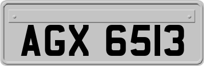 AGX6513
