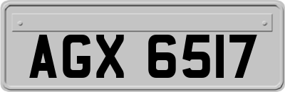 AGX6517