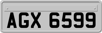 AGX6599