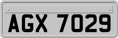 AGX7029