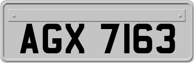 AGX7163