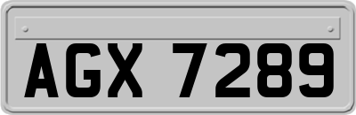 AGX7289