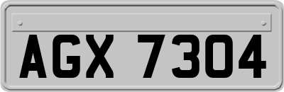 AGX7304
