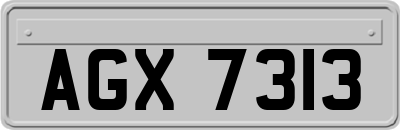 AGX7313
