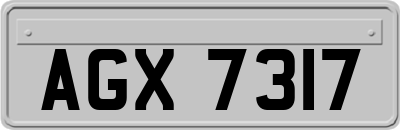 AGX7317