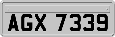 AGX7339