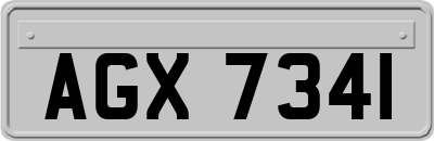 AGX7341