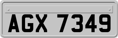 AGX7349