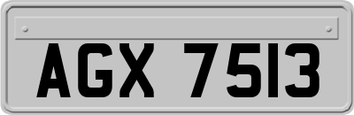 AGX7513