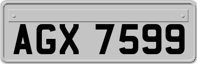 AGX7599