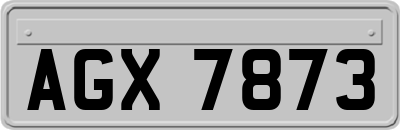 AGX7873