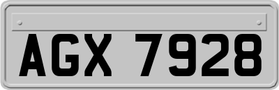 AGX7928