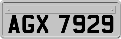 AGX7929