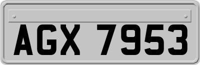 AGX7953