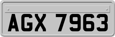 AGX7963