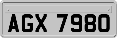 AGX7980