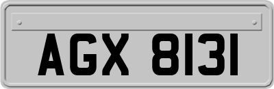 AGX8131