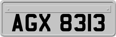 AGX8313