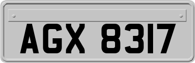 AGX8317