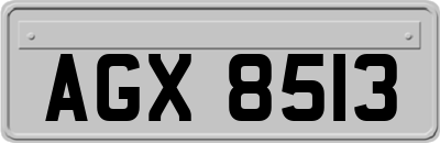 AGX8513