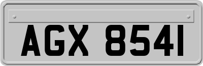 AGX8541
