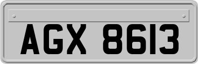 AGX8613