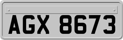 AGX8673