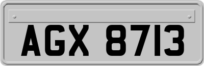 AGX8713