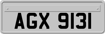 AGX9131