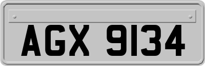 AGX9134