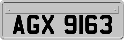 AGX9163