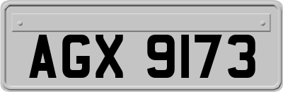 AGX9173