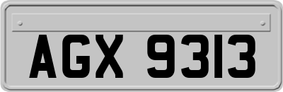 AGX9313