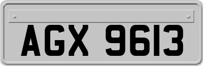 AGX9613
