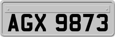 AGX9873
