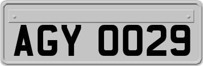 AGY0029