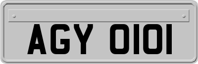 AGY0101