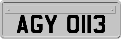 AGY0113