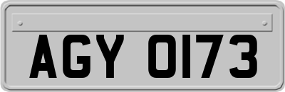 AGY0173