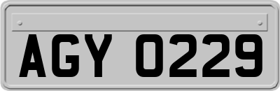 AGY0229
