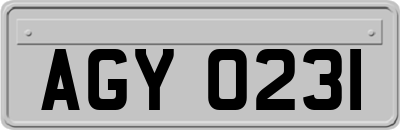 AGY0231