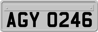 AGY0246