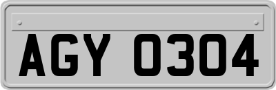 AGY0304
