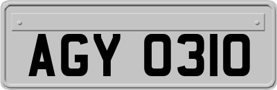 AGY0310
