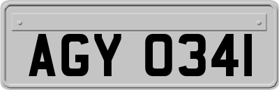 AGY0341