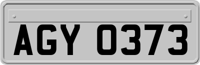 AGY0373