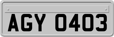 AGY0403