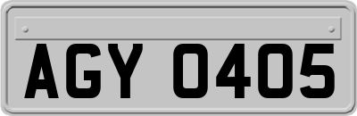 AGY0405