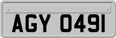 AGY0491